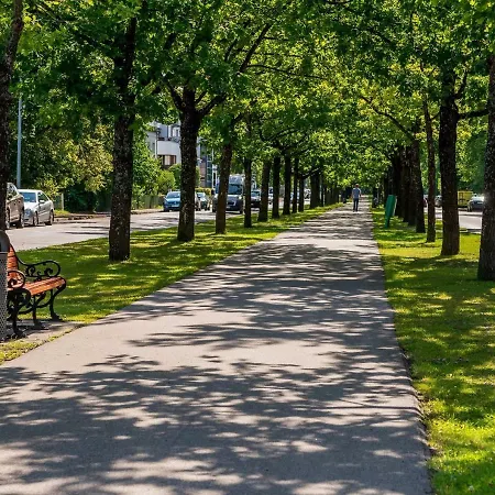 Tulbi Διαμέρισμα