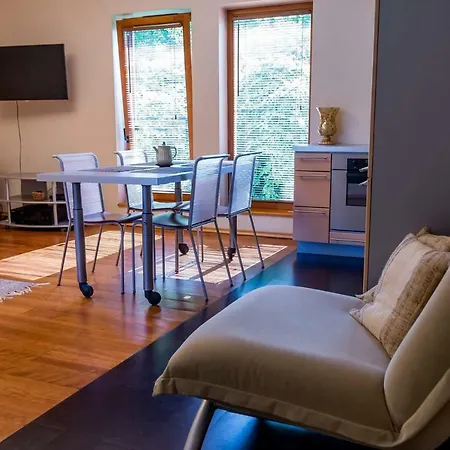 Tulbi Apartment Parnu